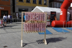 Allgemein 2019