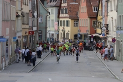 Staffelläufe 2019